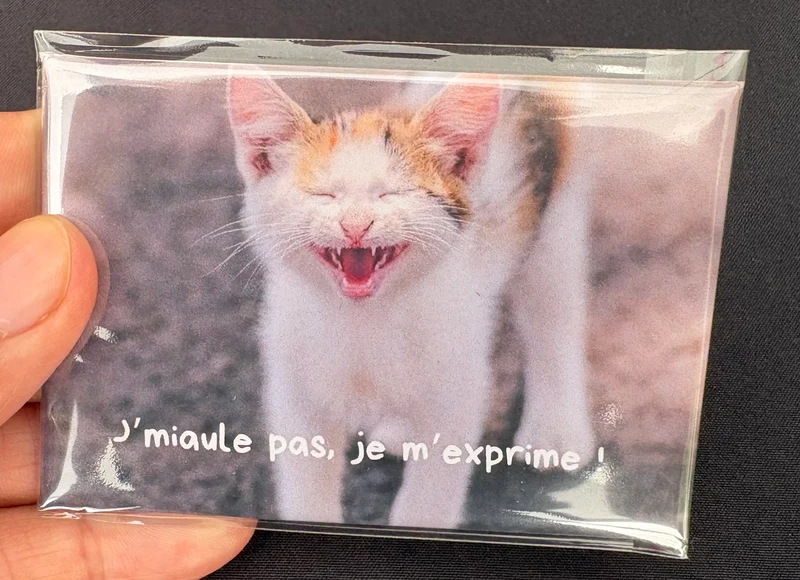 Chats_04