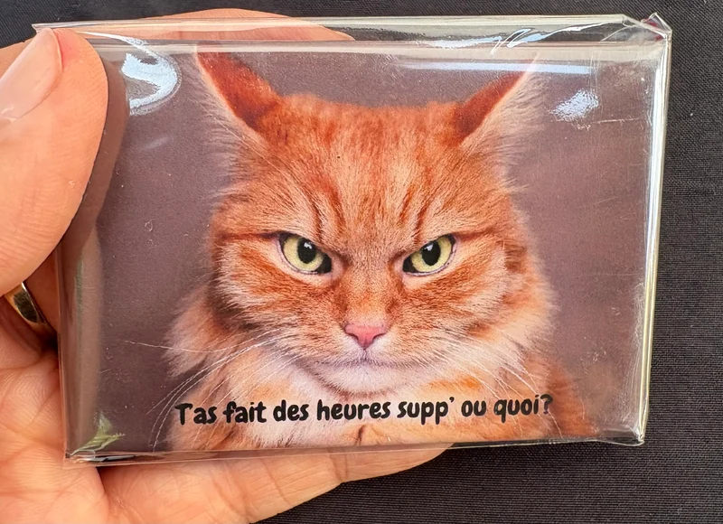 Chats_02