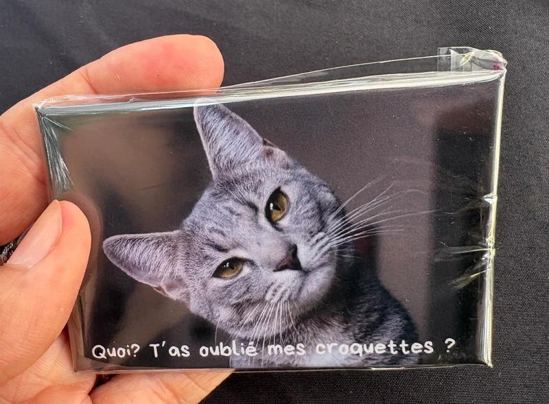 Chats_03