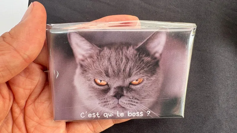 Chats_01