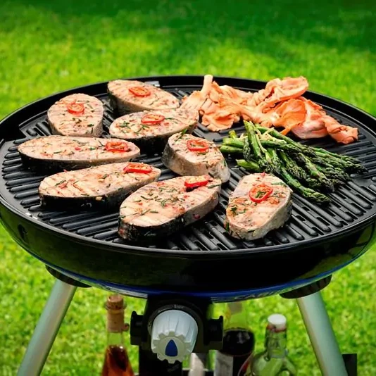 CADAC BBQ Grid 50 rooster voor campingbarbecue