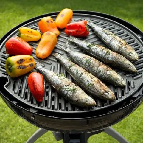CADAC BBQ Grid 40 rooster