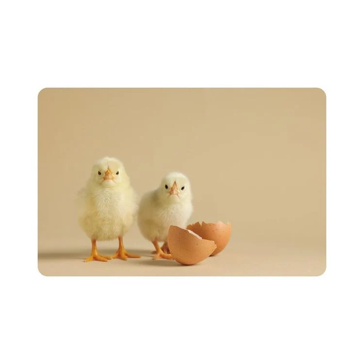 Placemat - PP bedrukt - 28 5x43 5cm - Chicklets