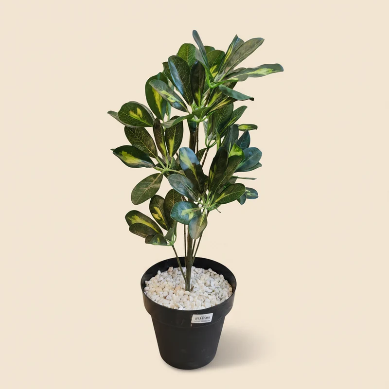 نبتة خضراء اصطناعية في أصيص – 80 سم