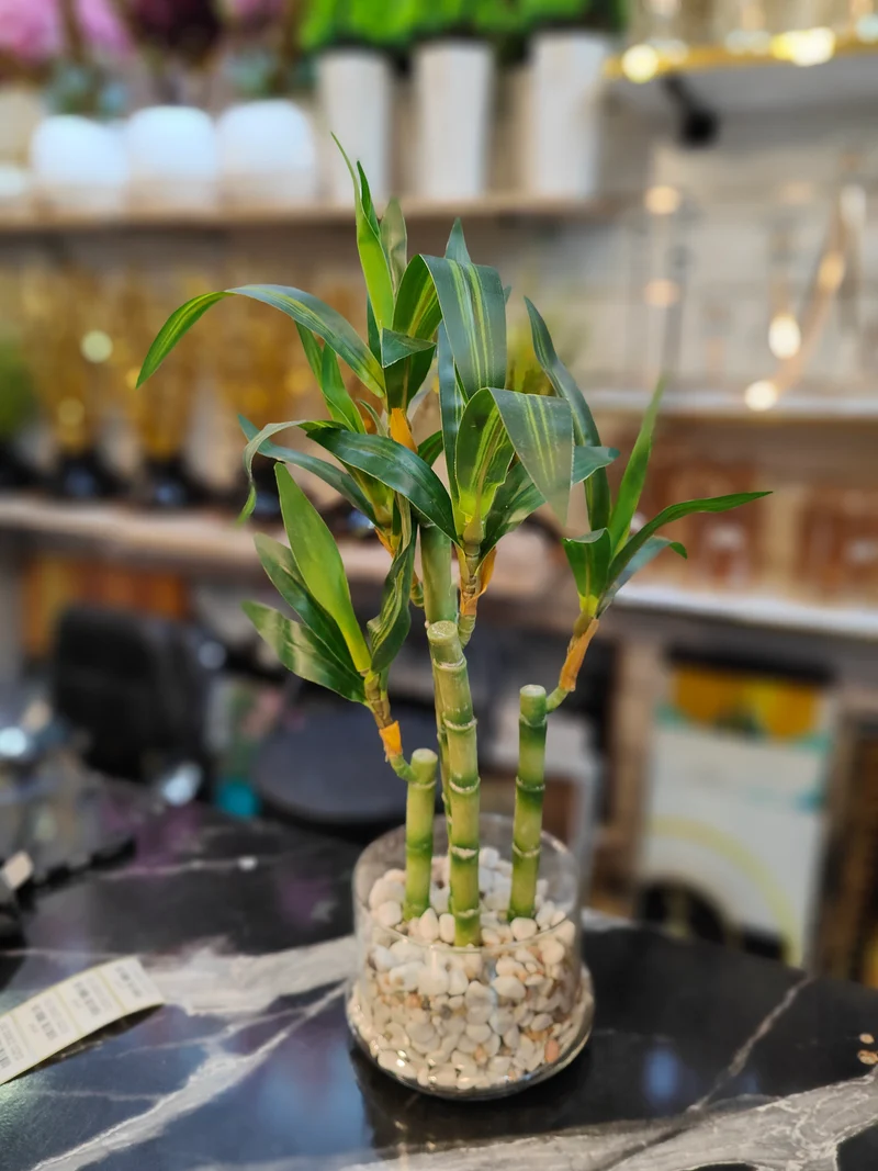 نبتة خيزران Lucky Bamboo اصطناعي — وعاء زجاجي بحجارة بيضاء — 43 سم