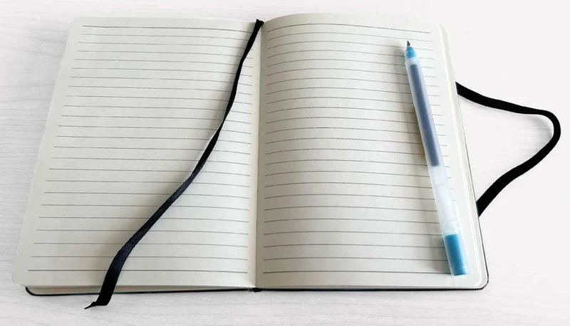 Spirit Bear Journal - artwork by Indigenous Artist, Stephanie White