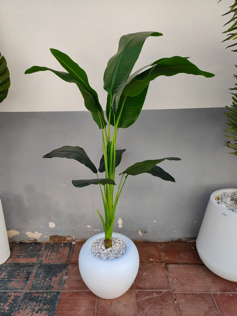 شجرة موز اصطناعية – حجم كبير فاخر – 190 سم