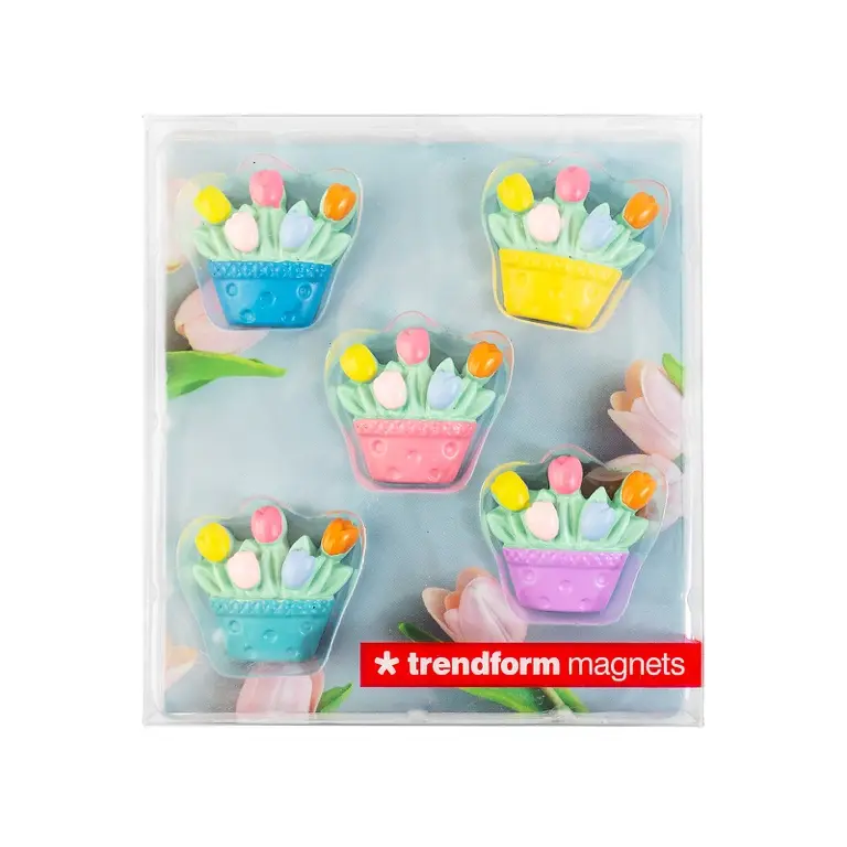 Set van 5 magneten tulpen - Trendform