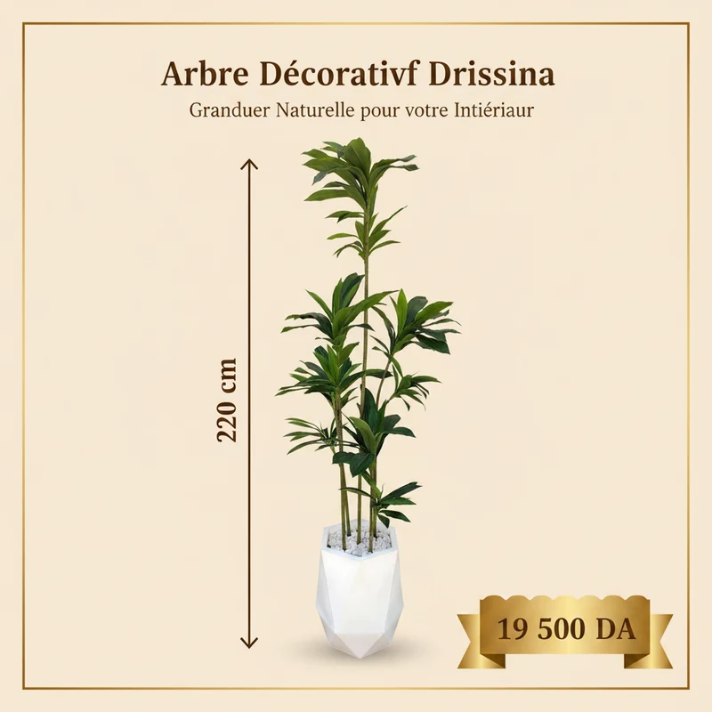 شجرة Dracaena اصطناعية – 220 سم – حجم ضخم فاخر