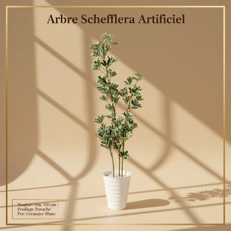شجرة Schefflera اصطناعية AM079 – حجم كبير – صالون فاخر
