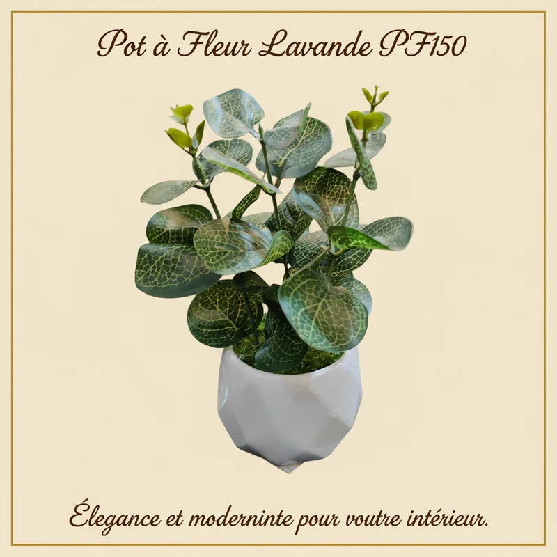 Pot a fleur lavande pf150 mesure