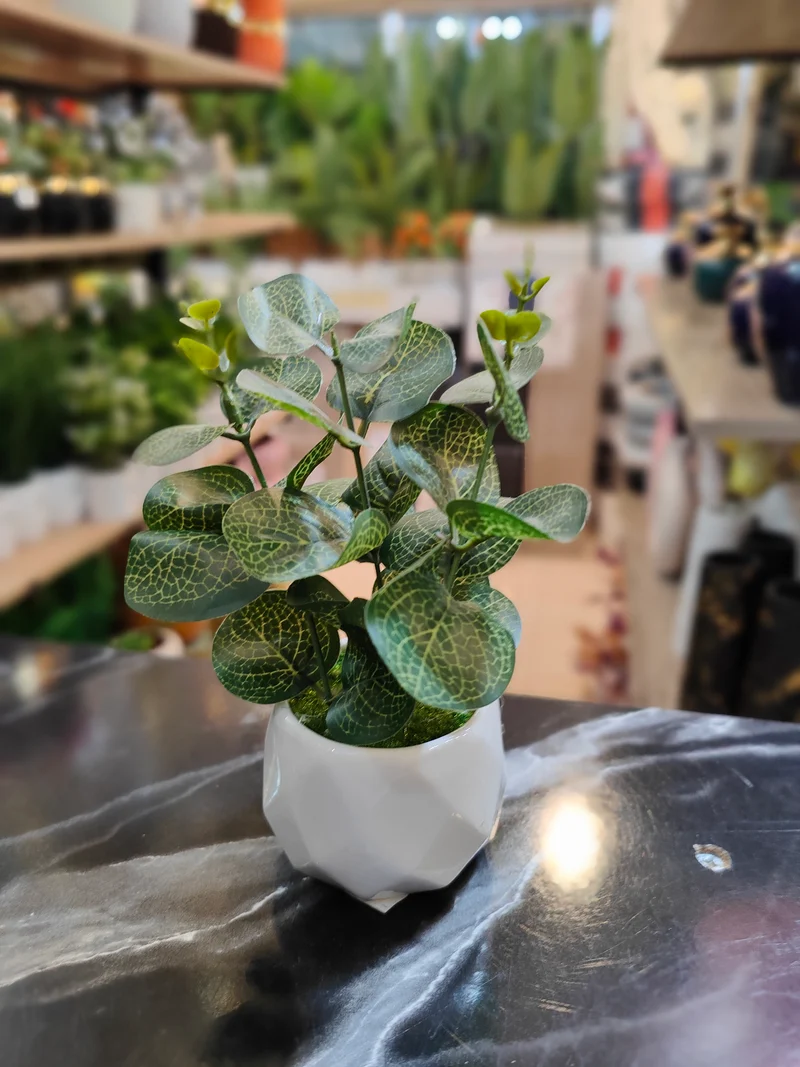 Pot a fleur lavande pf150 mesure