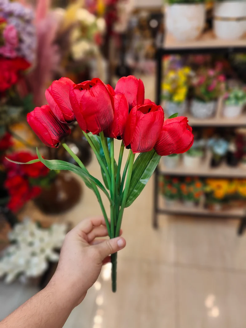 Bouquet tulip