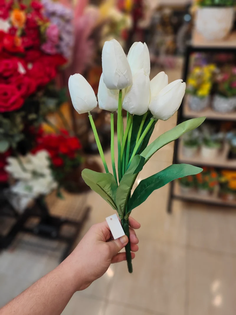 Bouquet tulip