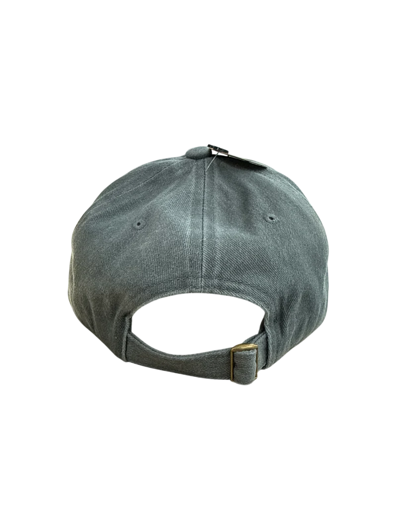 Seattle Skyline PNW Hat