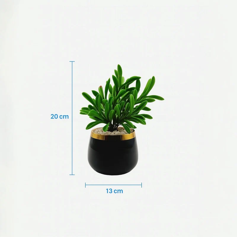 نباتات اصطناعية صغيرة بأصيص زجاجي أسود ذهبي –