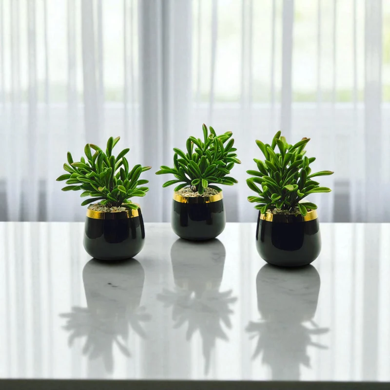 نباتات اصطناعية صغيرة بأصيص زجاجي أسود ذهبي –