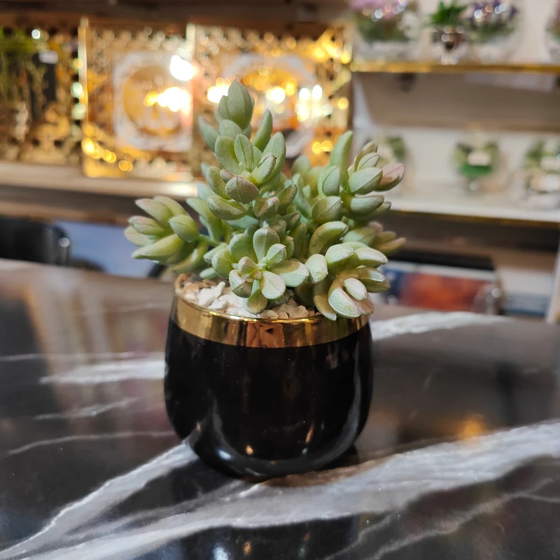 نباتات اصطناعية صغيرة بأصيص زجاجي أسود ذهبي –