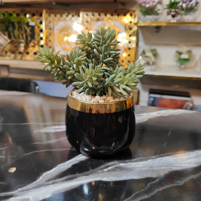 نباتات اصطناعية صغيرة بأصيص زجاجي أسود ذهبي –