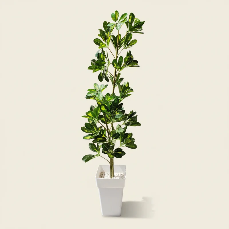 شجرة Schefflera اصطناعية – 150 سم – هدية مثالية للصالون