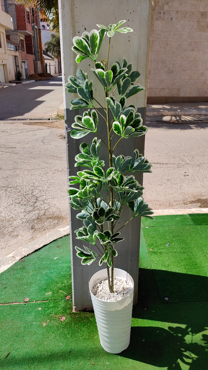 شجرة Schefflera اصطناعية – 150 سم – هدية مثالية للصالون