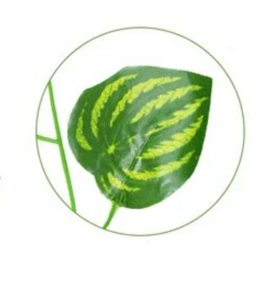 نباتات لواي اصطناعية متسلقة – ديكور جداري