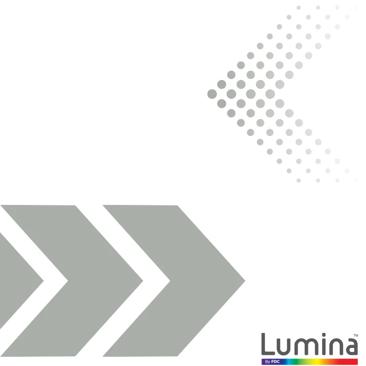 Lumina® 2100 48" x 50 Yds - Premium Cast Vinyl