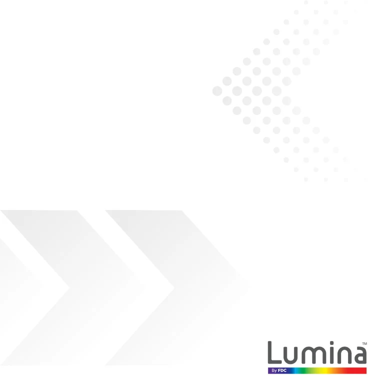 Lumina® 2100 24" x 10 Yds - Premium Cast Vinyl